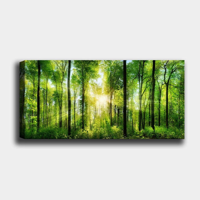 Wallity Lienzo Decorativo Multicolor 50 x 120 cm